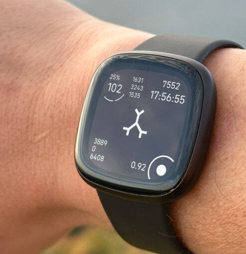 fitbit-hand-square-web-494x510.jpg